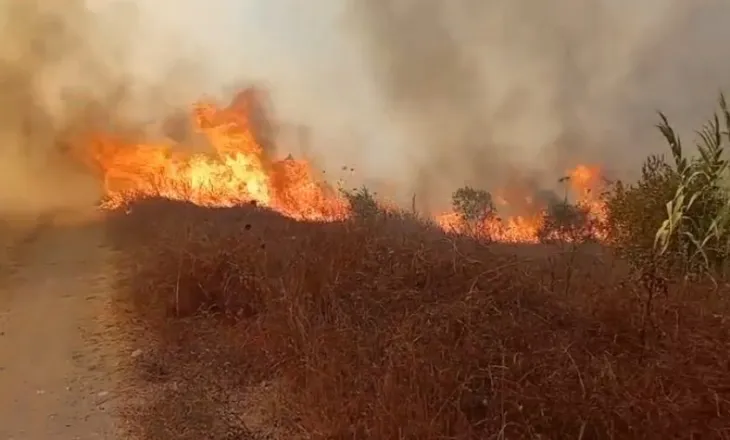 Zjarri i afrohet rrezikshëm lokaleve në Levan, pronarët evakuojnë stafin: Duhet ndërhyrje nga ajri