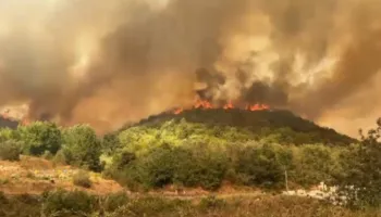 Zjarri masiv në 6 fshatrat e Fierit, Haki Çako ‘zbarkon’ në Levan: Duket se është zjarrvënie e qëllimshme