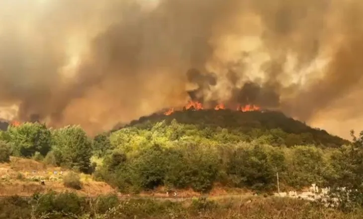 Zjarri masiv në 6 fshatrat e Fierit, Haki Çako ‘zbarkon’ në Levan: Duket se është zjarrvënie e qëllimshme