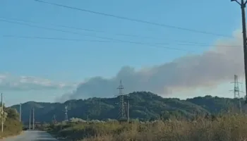 Zjarri masiv në kodrat me ullishte në Kreshpan të Fierit, banorët: Mund të jetë i qëllimshëm