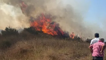 Zjarri në Bago të Kavajës, 3 banesa rrezikojnë të digjen