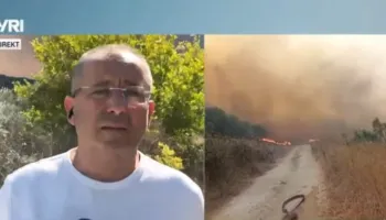 Zjarri në Fier-Levan, flakët rrezikojnë banesat dhe pyllin e Peshtanit të Vogël