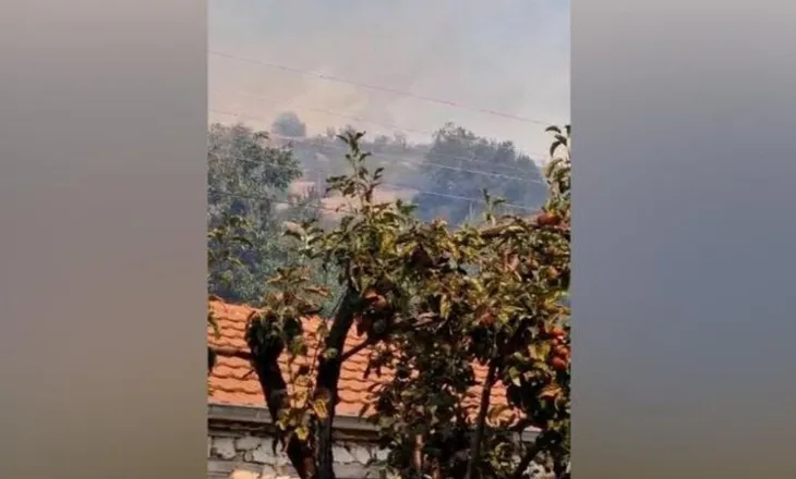 Zjarri në fshatin Borjen të Kukësit, era e fortë rrezikon banesat