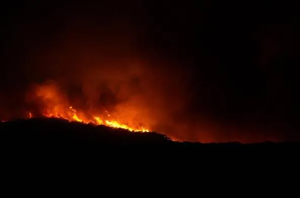 Zjarri në Himarë/ Nis evidentimi i dëmeve, Bashkia në terren për familjet e prekura