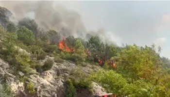 Zjarri në Kalivaç dhe Zimaj drejt shuarjes, rreth 200 hektarë të djegura