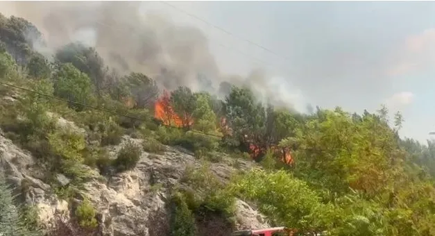 Zjarri në Kalivaç dhe Zimaj drejt shuarjes, rreth 200 hektarë të djegura