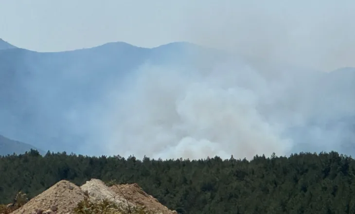 Zjarri në Kalivaç të Lezhës, 26 banesa të dëmtuara