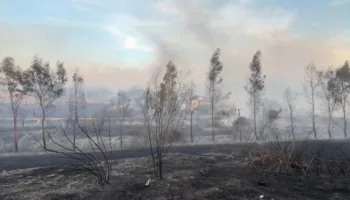Zjarri në Levan del jashtë kontrollit, banorët dalin në rrugë nga paniku! Rrezikohen shtëpitë, luftë me flakët nga toka dhe ajri (VIDEO)