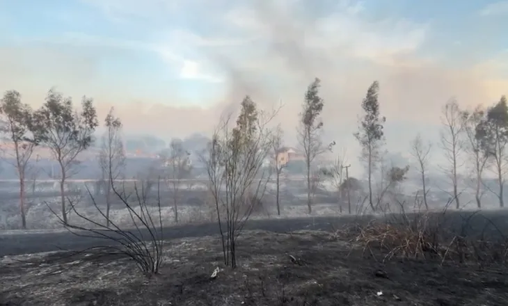 Zjarri në Levan del jashtë kontrollit, banorët dalin në rrugë nga paniku! Rrezikohen shtëpitë, luftë me flakët nga toka dhe ajri (VIDEO)