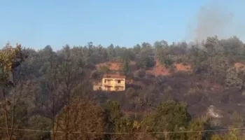 Zjarri në Lezhë jashtë kontrollit, kërkohet ndërhyrje nga ajri! 10 shtëpi të djegura, 200 hektarë tokë e shkrumbuar