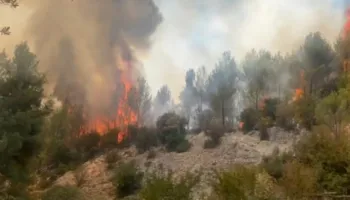Zjarri në malësinë e Tërbunit hyn në ditën e pestë, banorët thonë se ka shkrumbuar mbi 60% të pyjeve, kërkojnë ndërhyrje nga ajri