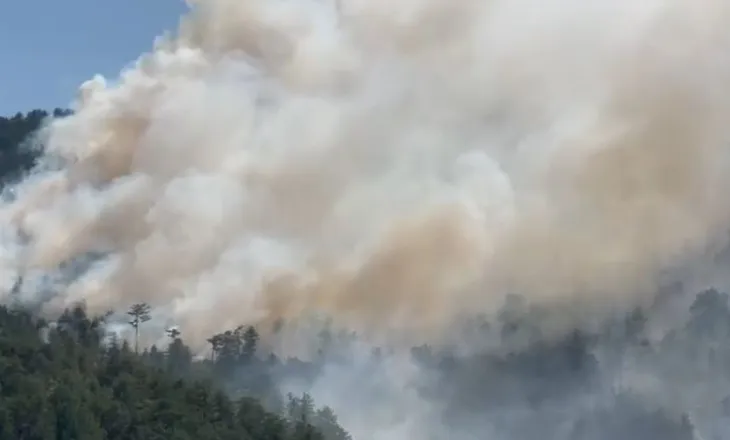 Zjarri në Malin e Tërbunit del jashtë kontrollit dhe i afrohet qytetit! Alarm në Pukë, vatra po zgjerohet, kërkohet ndërhyrjea nga ajri