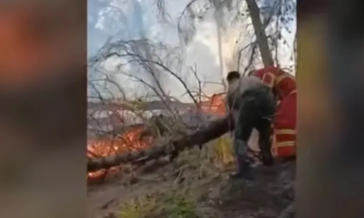Zjarri në Mallakastër, riaktivizohen vatrat në Çërrilë, era dhe temperaturat e larta favorizojnë flakët (VIDEO)