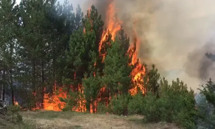 Zjarri në Mat del jashtë kontrollit, evakuohen disa familje dhe rrezikohen banesa dhe stane