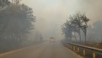 Zjarri në Qafën e Koshovicës, bllokohet qarkullimi në aksin Fier-Levan