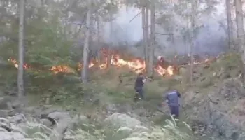 Zjarri në Tërbun s’ka të ndalur, flakët përparojnë dhe rrezikojnë banesat e stacionin e ujit! Operacion nga toka dhe ajri për shuarjen