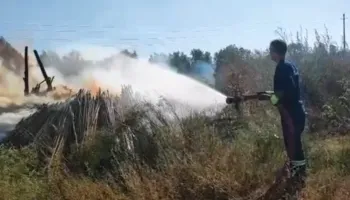 Zjarri përfshin fshatin Delisuf në Vlorë, zjarrfikësit dhe banorët në operacion për shuarjen e tij