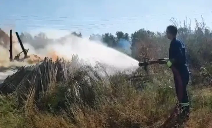 Zjarri përfshin fshatin Delisuf në Vlorë, zjarrfikësit dhe banorët në operacion për shuarjen e tij