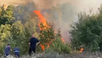 Zjarri përfshin Karicën e Matit, flakët drejt pyllit me dushqe! Zjarrfikësit në betejë me vatrën (VIDEO)