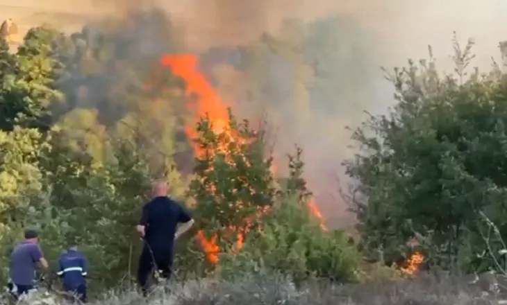 Zjarri përfshin Karicën e Matit, flakët drejt pyllit me dushqe! Zjarrfikësit në betejë me vatrën (VIDEO)