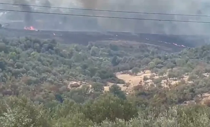 Zjarri përfshin kodrën në Krujë, flakët rrezikojnë banesat, kërkohet ndërhyrje nga ajri