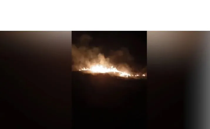 Zjarri përfshin sipërfaqe me bimësi në Novoselë, era favorizon përhapjen e flakëve!