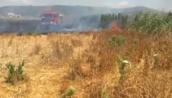 Zjarri përfshin tokat bujqësore pranë autostradës Lushnjë-Fier, era përhap flakët!