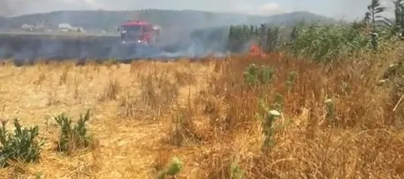 Zjarri përfshin tokat bujqësore pranë autostradës Lushnjë-Fier, era përhap flakët!