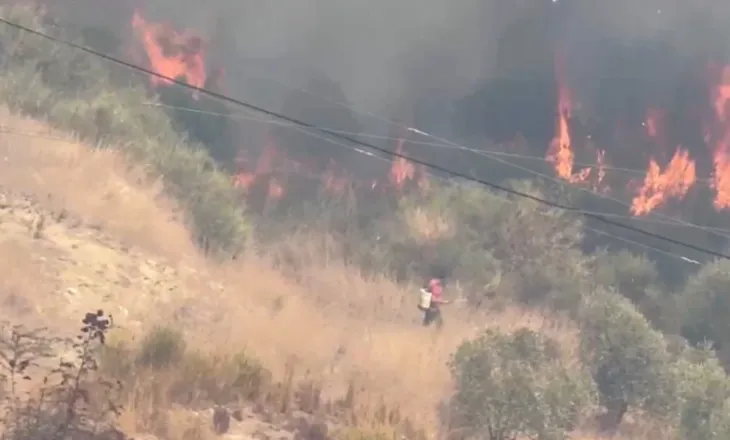 Zjarri përfshin zonën e Bagos në Kavajë dhe flakët i afrohen banesave, kërkohet ndërhyrja nga ajri