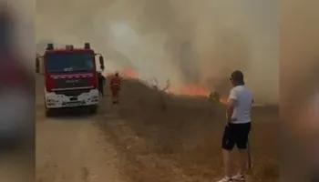 Zjarri përhapet me shpejtësi drejt Peshtanit të Madh, tërhiqen zjarrfikësit