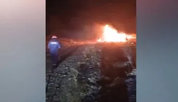 Zjarri shkrumbon sipërfaqe me shkurre në Lazarat, flakët rrezikojnë edhe banesat!