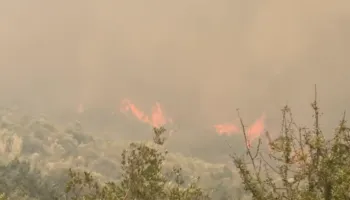 Zjarri vijon prej 24 orësh në kodrat e Bardhajve, dhjetëra forca të ushtrisë e zjarrfikës në terren