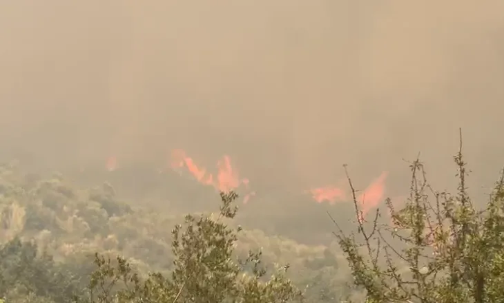 Zjarri vijon prej 24 orësh në kodrat e Bardhajve, dhjetëra forca të ushtrisë e zjarrfikës në terren