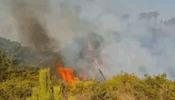 Zjarri vijon prej 24 orësh në Shkodër, flakët përfshijnë kodrat e Bardhajve