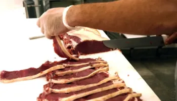 Zvicra ndalon importet e mishit brazilian për shkak të shqetësimeve për përdorimin e antibiotikëve