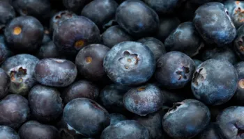 20 ushqimet më të mira anti-inflamatore