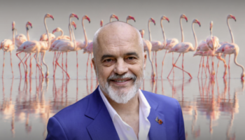 24 orë pas lançimit, “Flamingo Mirror” sulmohet 122 herë, Rama: Është vetëm fillimi i përballjejes mes fakteve dhe llumit anti-shtet