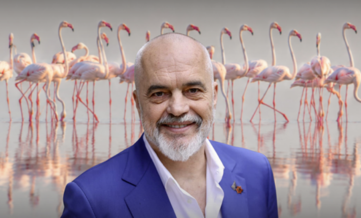 24 orë pas lançimit, “Flamingo Mirror” sulmohet 122 herë, Rama: Është vetëm fillimi i përballjejes mes fakteve dhe llumit anti-shtet