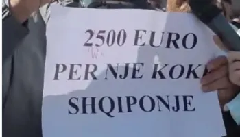 “2500 euro për një kokë shqiponje” protestuesi tregon si zgjidhet kjo situatë