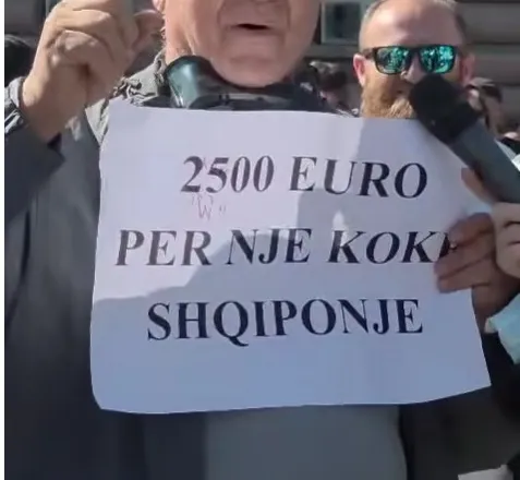 “2500 euro për një kokë shqiponje” protestuesi tregon si zgjidhet kjo situatë