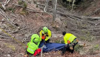 35-vjeçari shqiptar humb jetën në pyjet e Bolonjës gjatë punës (EMRI)
