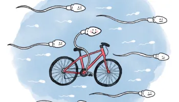 A është e vërtetë që … çiklizmi ndikon në fertilitet?