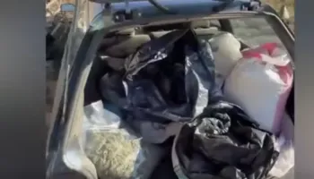 Aksion në Shkodër, kapet sasi rekord droge, sekuestrohen mina, 4 të arrestuar, 3 në kërkim