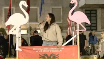 Aktivistja Vatnikaj: Reforma territoriale u votua për turp nga PS sipas urdhrit të Ramës