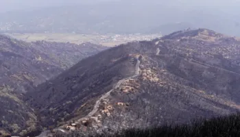 Algjeria rikthen dënimin me vdekje për zjarrvënësit e pyjeve dhe rrëmbyesit e fëmijëve