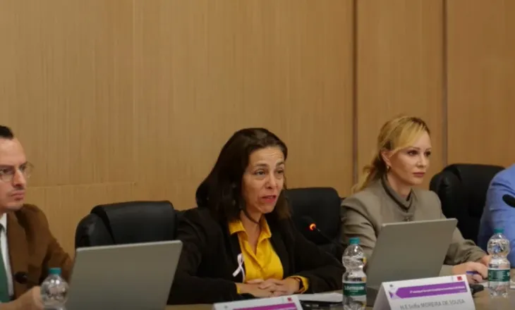 Ambasadorja e BE-së për protestat: Dhuna e papranueshme! Rasti i Veliajt? Zyrtari europian: Të garantohet proces i rregullt