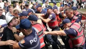 Berisha nxjerr Videon: Shtazëri e narkobanditëve të Skënder Ballukut! Krim i shëmtuar