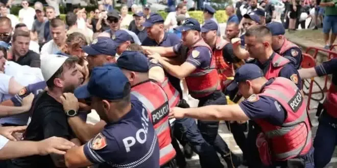 Berisha nxjerr Videon: Shtazëri e narkobanditëve të Skënder Ballukut! Krim i shëmtuar