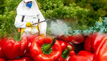 Bllokohen 2 ngarkesa nga Shqipëria në Kroaci/ Fiqtë e thatë dalin me aflatoksinë dhe speca me pesticide