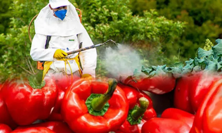 Bllokohen 2 ngarkesa nga Shqipëria në Kroaci/ Fiqtë e thatë dalin me aflatoksinë dhe speca me pesticide